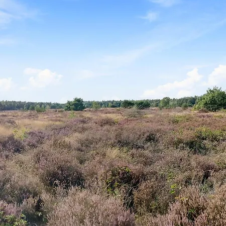 Beautiful In Voorthuizen Putten