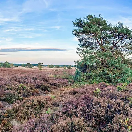 Beautiful In Voorthuizen Vakantiehuis *