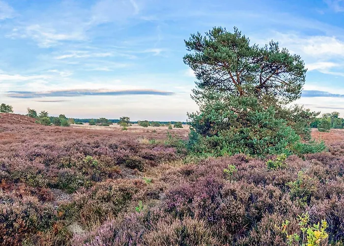 Beautiful In Voorthuizen بيت للعطل *